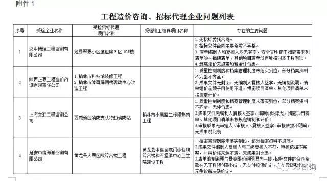 工程造價(jià)咨詢、招標(biāo)代理企業(yè)問題列表