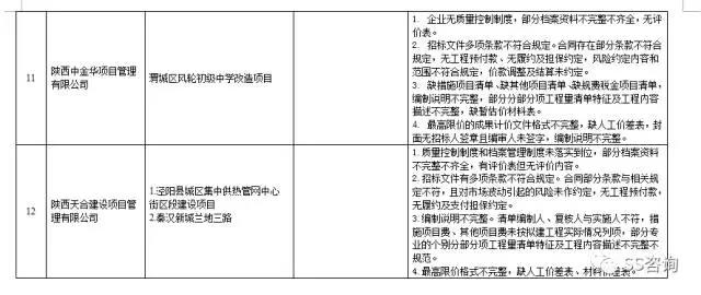 工程造價(jià)咨詢、招標(biāo)代理企業(yè)問題列表